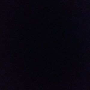 Meet your Posher, Abigail